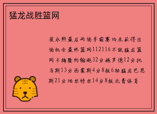 猛龙战胜篮网